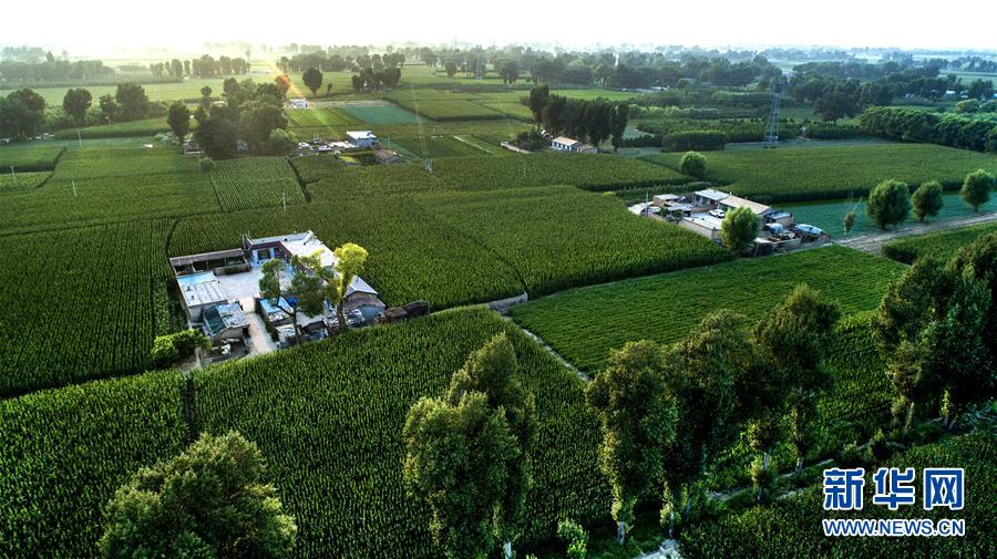 （壯闊東方潮 奮進新時代&mdash;&mdash;慶祝改革開放40年）（13）感受&ldquo;毛烏素&rdquo;的生機