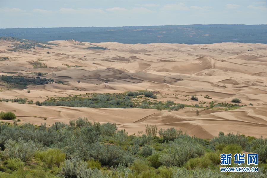 (在習(xí)近平新時代中國特色社會主義思想指引下——新時代新作為新篇章·圖文互動)(6)庫布其競相演繹“點沙成金”傳奇