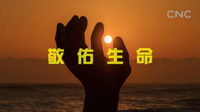 &ldquo;一帶一路&rdquo;全球行| 仁濟(jì)天下 大愛無(wú)疆