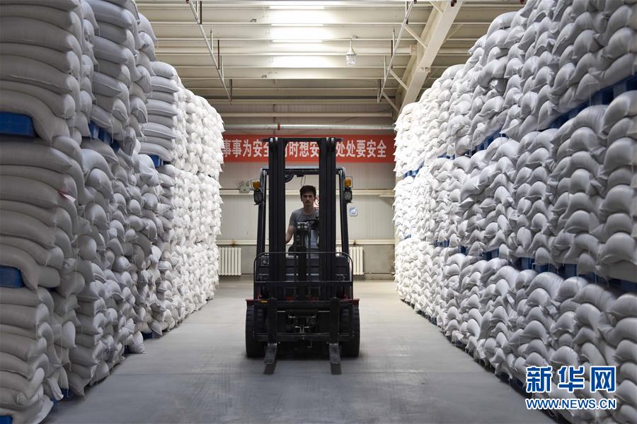 （新華全媒頭條&middot;圖文互動）（6）去新疆！穿越古今絲綢之路