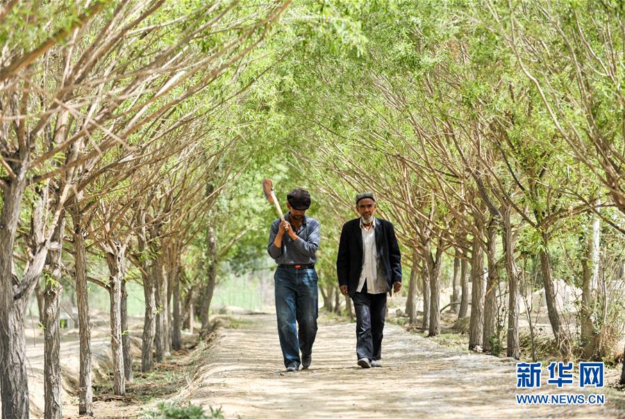 （新華全媒頭條&middot;誠信建設(shè)萬里行&middot;圖文互動(dòng)）（3）一諾動(dòng)昆侖&mdash;&mdash;父子半世紀(jì)接力為英雄守靈