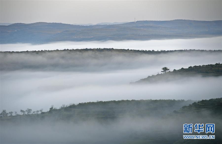 （新華全媒頭條&middot;圖文互動）（12）中國扶貧的西海固答卷&mdash;&mdash;寧夏奮進(jìn)60年巡禮之脫貧攻堅篇