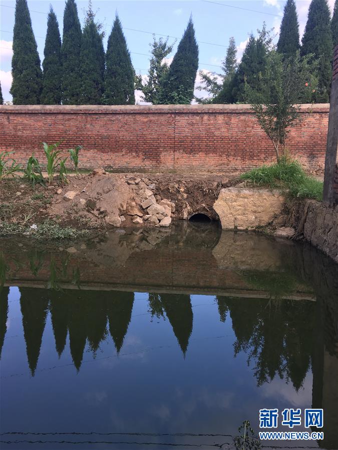 （新華視點(diǎn)&middot;圖文互動(dòng)）（3）上游洪水來(lái)襲下游魚蟹死亡，泄洪為何變泄污？