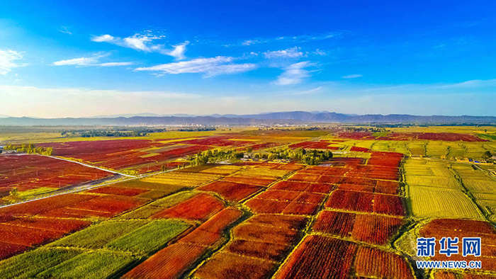 秋收的中國(guó)，你想象不到的美！但更美的是&hellip;&hellip;