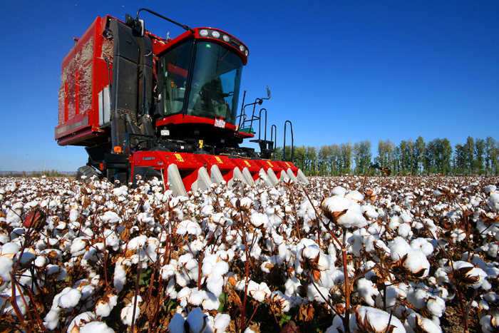 秋收的中國(guó)，你想象不到的美！但更美的是&hellip;&hellip;