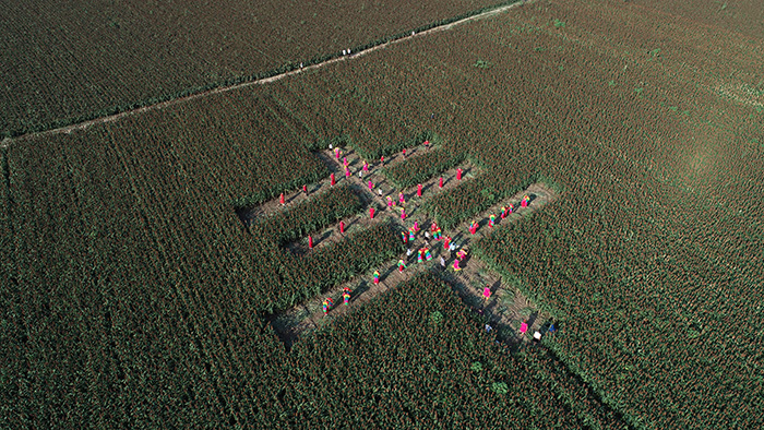 秋收的中國(guó)，你想象不到的美！但更美的是&hellip;&hellip;