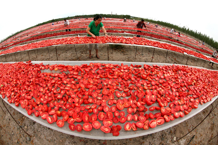 秋收的中國(guó)，你想象不到的美！但更美的是&hellip;&hellip;