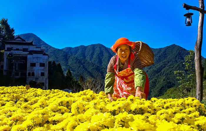 秋收的中國(guó)，你想象不到的美！但更美的是&hellip;&hellip;