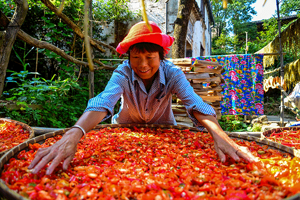 秋收的中國(guó)，你想象不到的美！但更美的是&hellip;&hellip;