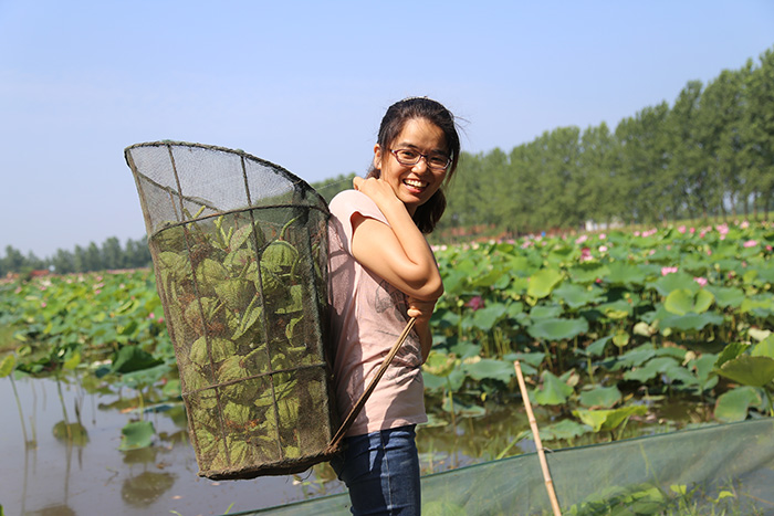 秋收的中國(guó)，你想象不到的美！但更美的是&hellip;&hellip;