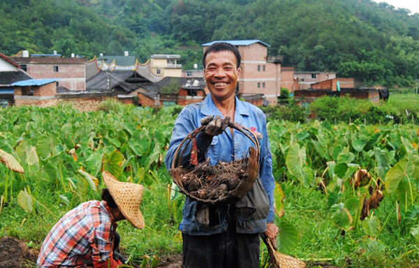 秋收的中國(guó)，你想象不到的美！但更美的是&hellip;&hellip;