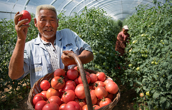 秋收的中國(guó)，你想象不到的美！但更美的是&hellip;&hellip;