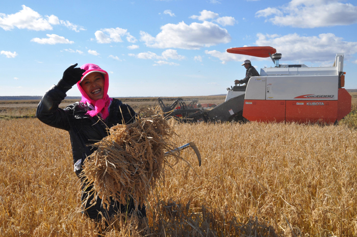 秋收的中國(guó)，你想象不到的美！但更美的是&hellip;&hellip;