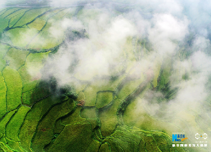 秋收的中國(guó)，你想象不到的美！但更美的是&hellip;&hellip;
