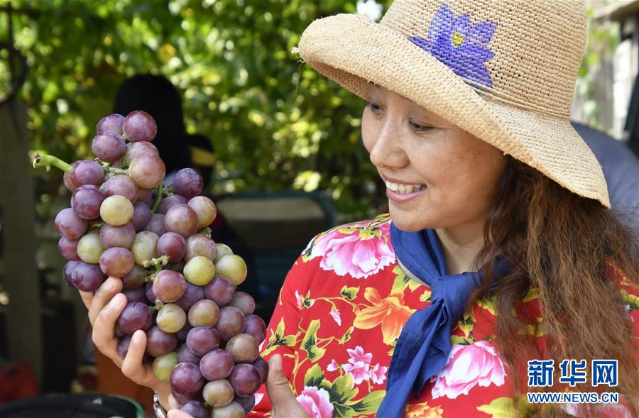 （新華全媒頭條&middot;圖文互動）（8）最年輕的節(jié)日 最悠久的牽念&mdash;&mdash;寫給首個中國農(nóng)民豐收節(jié)