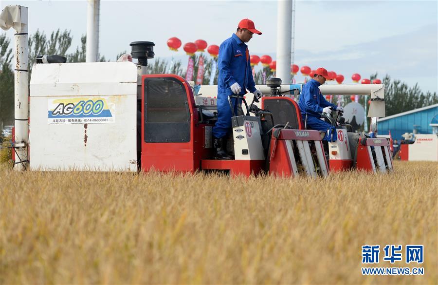 （新華全媒頭條&middot;圖文互動）（9）最年輕的節(jié)日 最悠久的牽念&mdash;&mdash;寫給首個中國農(nóng)民豐收節(jié)