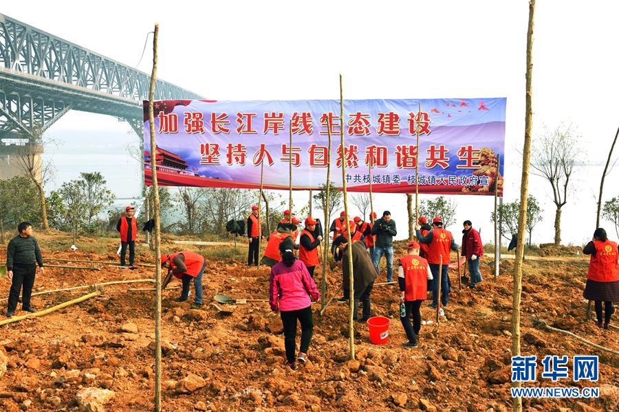 (在習(xí)近平新時代中國特色社會主義思想指引下——新時代新作為新篇章·圖文互動)(2)湖北枝城鎮(zhèn):片區(qū)黨建助推鄉(xiāng)村全面振興