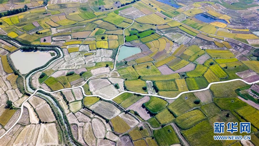 （壯闊東方潮　奮進(jìn)新時(shí)代&mdash;&mdash;慶祝改革開(kāi)放40年&middot;圖文互動(dòng)）（1）&ldquo;人民的期盼就是改革的動(dòng)力&rdquo;&mdash;&mdash;&ldquo;大包干&rdquo;帶頭人寄語(yǔ)改革