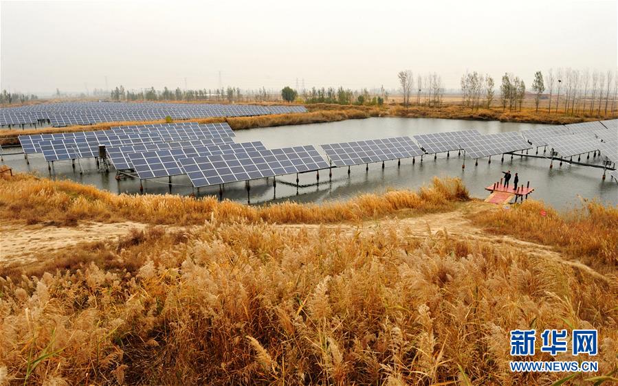 #（社會(huì)）河北南皮：&ldquo;漁光互補(bǔ)&rdquo;光伏電站鋪就綠色扶貧路