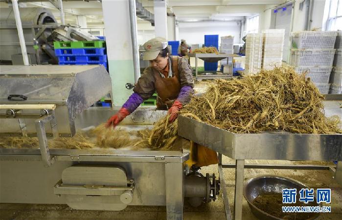 （百城百縣百企調(diào)研行&middot;圖文互動(dòng)）（5）吉林集安：邊陲&ldquo;綠色明珠&rdquo;為何如此閃亮？