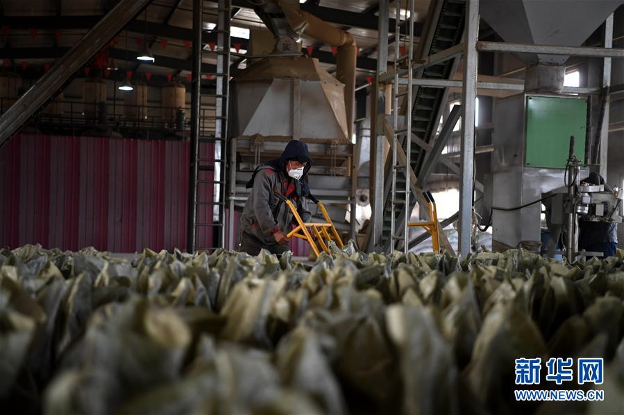 （在習近平新時代中國特色社會主義思想指引下&mdash;&mdash;新時代新氣象新作為&middot;鄉(xiāng)村振興戰(zhàn)略&middot;圖文互動）（1）&ldquo;與其放火，不如打包&rdquo;&mdash;&mdash;山西渾源秸稈綜合再利用見聞