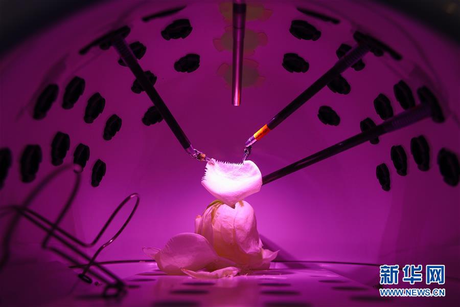 （鏡觀中國&middot;新華社國內照片一周精選）（3）機械手術&ldquo;手&rdquo;