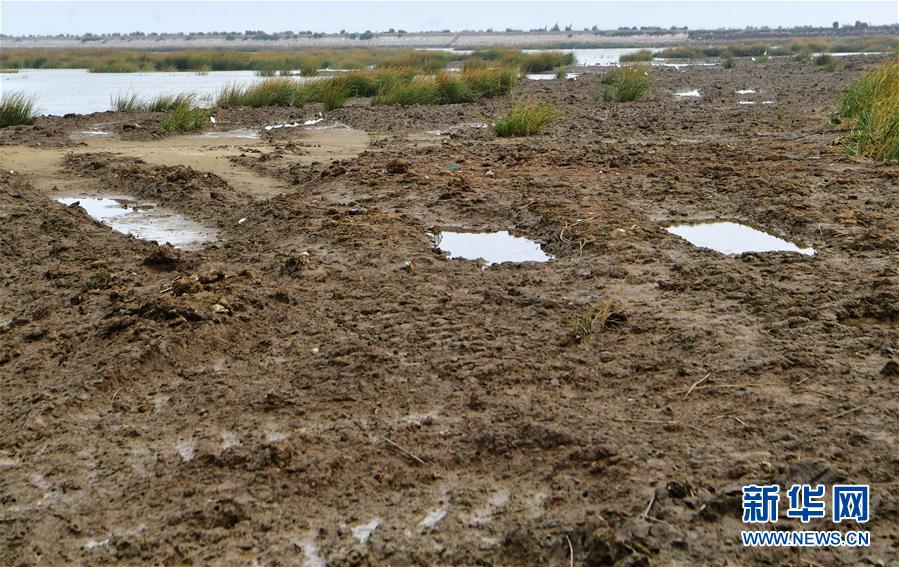 （新華視點(diǎn)&middot;圖文互動）（2）福建10名黨員干部被問責(zé)的背后：7部門十余次執(zhí)法未能有效制止泉州灣濕地圍墾行為