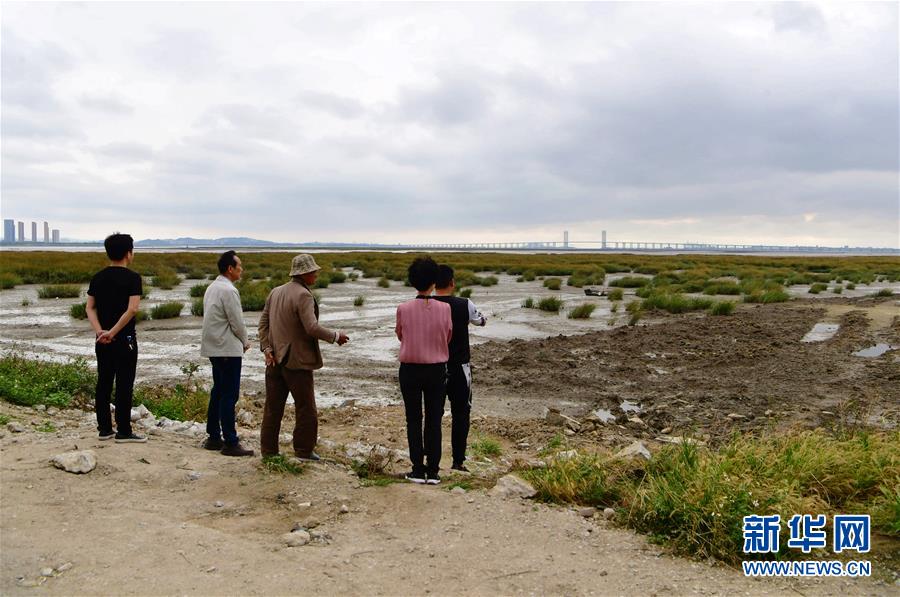 （新華視點(diǎn)&middot;圖文互動）（5）福建10名黨員干部被問責(zé)的背后：7部門十余次執(zhí)法未能有效制止泉州灣濕地圍墾行為