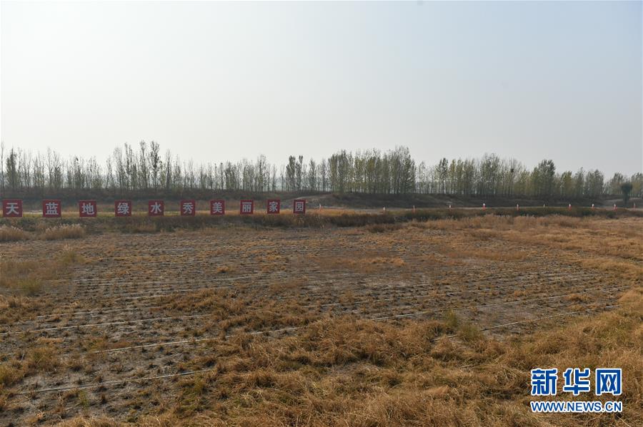 （在習(xí)近平新時(shí)代中國(guó)特色社會(huì)主義思想指引下&middot;慶祝改革開放40周年&middot;綠色發(fā)展）（新華全媒頭條&middot;圖文互動(dòng)）（6）綠色發(fā)展：書寫在中國(guó)大地上的美麗畫卷