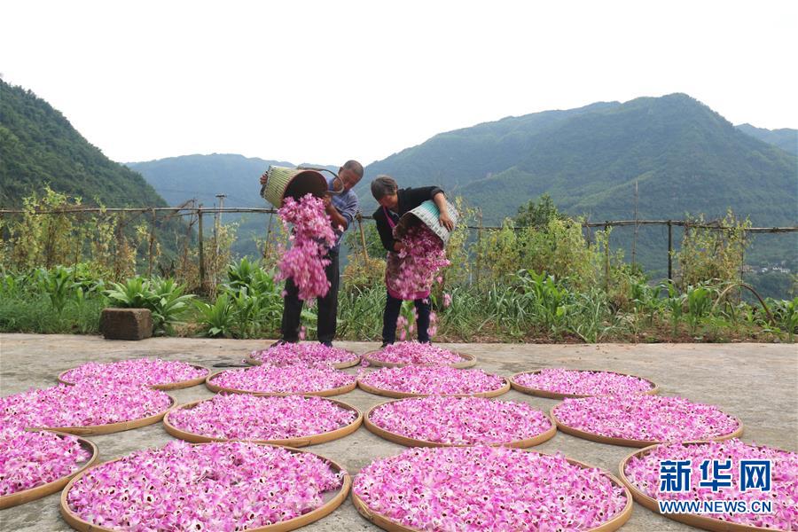 （在習近平新時代中國特色社會主義思想指引下&middot;慶祝改革開放40周年&middot;綠色發(fā)展&middot;圖文互動）（3）吹盡狂沙始到金&mdash;&mdash;綠色發(fā)展之&ldquo;金&rdquo;的故事 