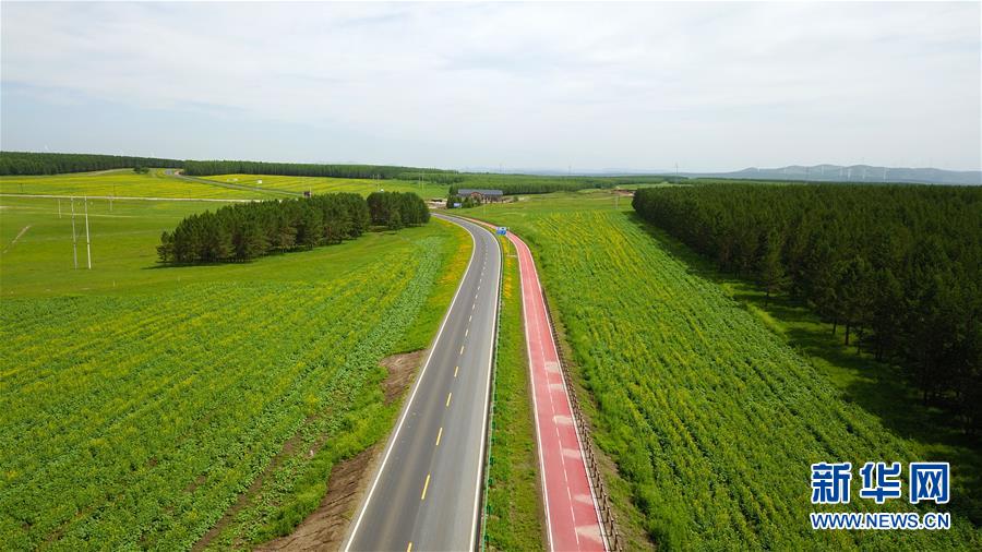 （新華全媒頭條&middot;圖文互動(dòng)）（4）那一抹綠色，走進(jìn)越來越多人心里&mdash;&mdash;河北塞罕壩續(xù)寫新時(shí)代綠色傳奇