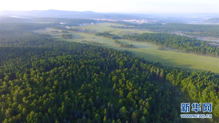 （新華全媒頭條&middot;圖文互動(dòng)）（5）那一抹綠色，走進(jìn)越來越多人心里&mdash;&mdash;河北塞罕壩續(xù)寫新時(shí)代綠色傳奇