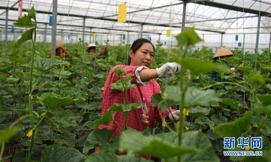 （新華全媒頭條&middot;圖文互動(dòng)）（11）心中有夢(mèng)想，腳下就有力量&mdash;&mdash;寫(xiě)在&ldquo;中國(guó)夢(mèng)&rdquo;提出六周年之際