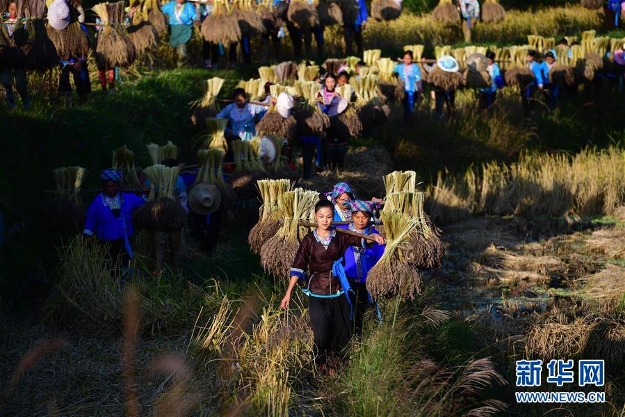 (輝煌60年·壯美新廣西·圖文互動(dòng))(6)攜手描繪八桂大地上的美麗畫(huà)卷——寫(xiě)在廣西壯族自治區(qū)成立60周年之際