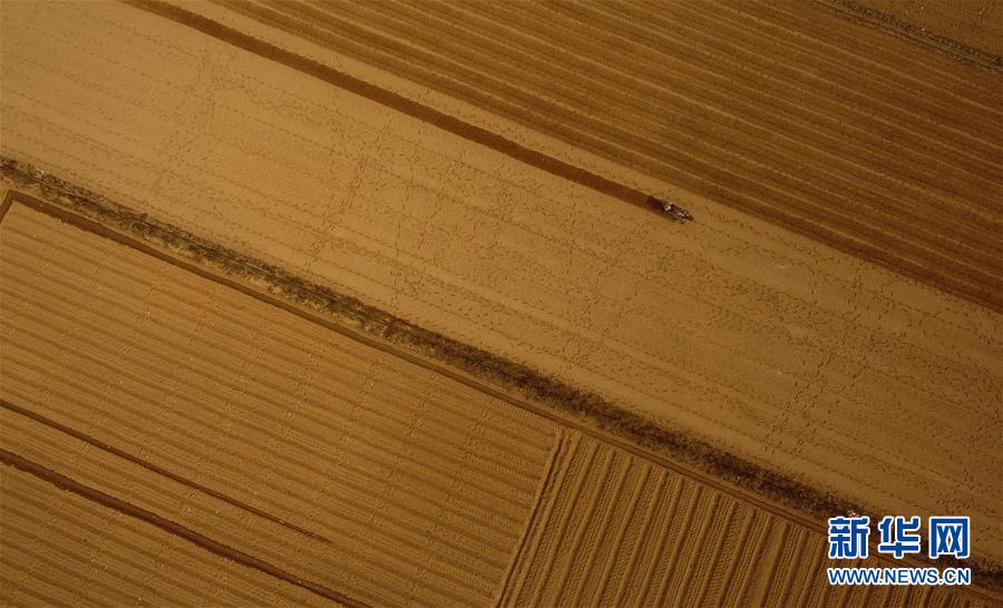 （百城百縣百企調(diào)研行&middot;圖文互動(dòng)）（2）海南農(nóng)墾：農(nóng)業(yè)&ldquo;國(guó)家隊(duì)&rdquo;打贏改革&ldquo;翻身仗&rdquo;