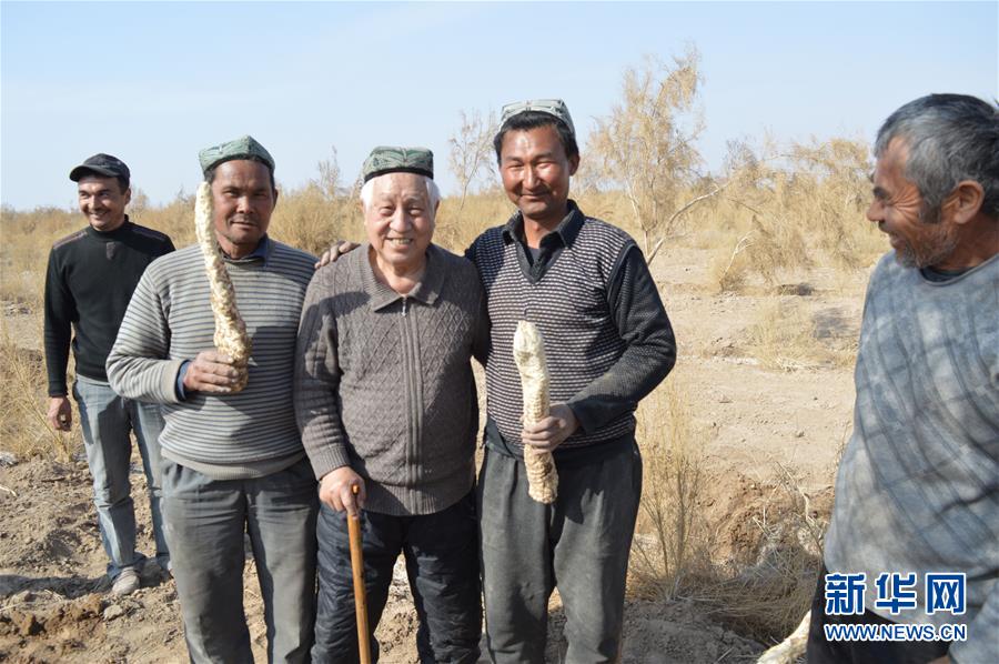 （圖文互動）（3）&ldquo;劉紅柳&rdquo;，一輩子大漠扎根種樹