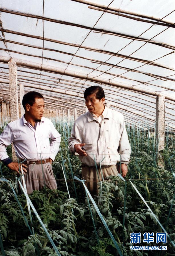 （改革先鋒風(fēng)采&middot;圖文互動）（1）王伯祥：山東壽光蔬菜產(chǎn)業(yè)的推動者 
