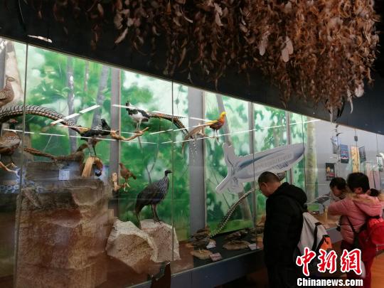 圖為展覽現(xiàn)場(chǎng)?！『h(yuǎn)航 攝