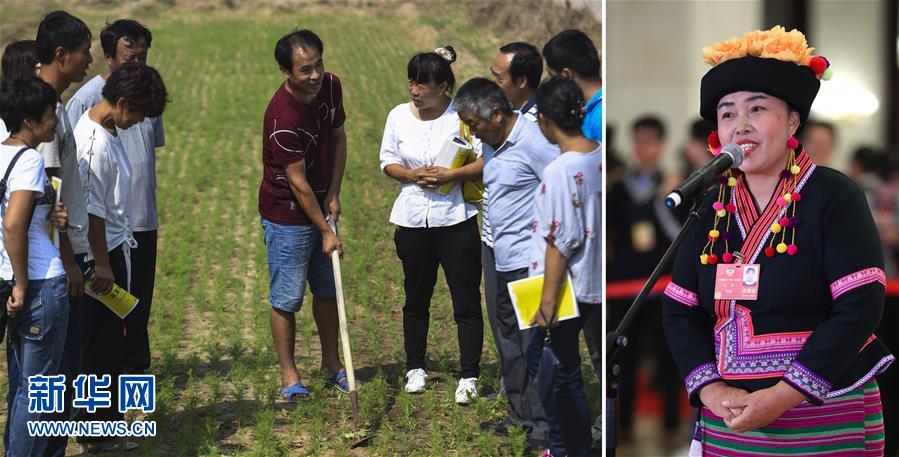 （兩會(huì)&middot;影像鏈接）全國(guó)政協(xié)委員張敏：培養(yǎng)新型農(nóng)民 助力脫貧攻堅(jiān)