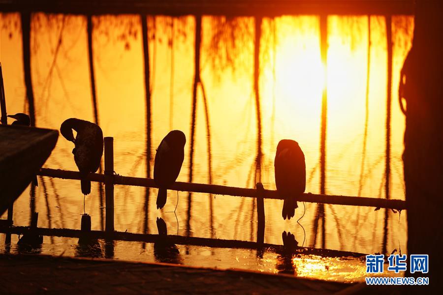 （圖文互動(dòng)）（8）國(guó)務(wù)院批復(fù)同意《河北雄安新區(qū)總體規(guī)劃（2018&mdash;2035年）》 