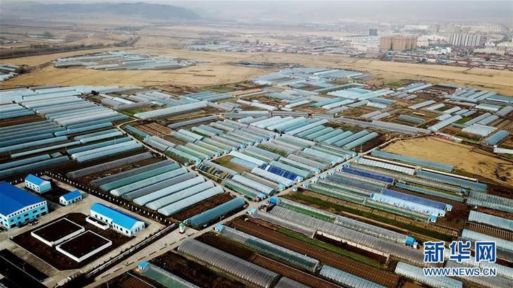 （在習(xí)近平新時代中國特色社會主義思想指引下&mdash;&mdash;新時代新作為新篇章&middot;鄉(xiāng)村振興戰(zhàn)略&middot;圖文互動）（5）&ldquo;十五連豐&rdquo;譜新篇&mdash;&mdash;端牢&ldquo;中國飯碗&rdquo;的龍江實踐