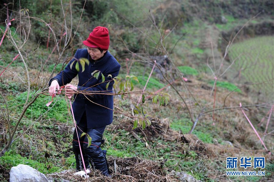 （圖文互動(dòng)）（3）平靜而充滿力量&mdash;&mdash;&ldquo;中國網(wǎng)事&middot;感動(dòng)2018&rdquo;年度網(wǎng)絡(luò)人物群像