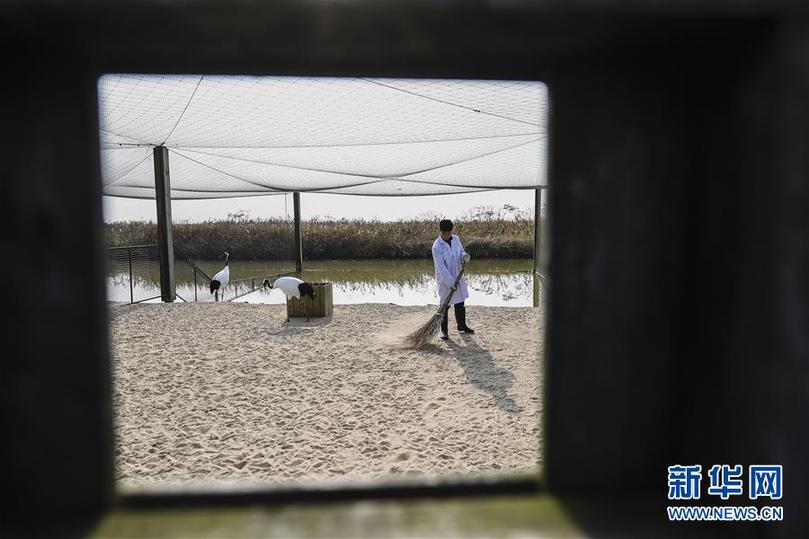 （兩會(huì)前夕看落實(shí)&middot;圖文互動(dòng)）（3）綠色發(fā)展引領(lǐng) 守護(hù)&ldquo;魚米之鄉(xiāng)&rdquo;&mdash;&mdash;江蘇落實(shí)習(xí)近平總書記全國(guó)兩會(huì)重要講話精神紀(jì)實(shí)