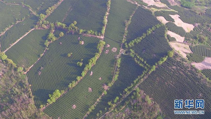 （兩會(huì)前夕看落實(shí)&middot;圖文互動(dòng)）（9）綠色發(fā)展引領(lǐng) 守護(hù)&ldquo;魚米之鄉(xiāng)&rdquo;&mdash;&mdash;江蘇落實(shí)習(xí)近平總書記全國(guó)兩會(huì)重要講話精神紀(jì)實(shí)