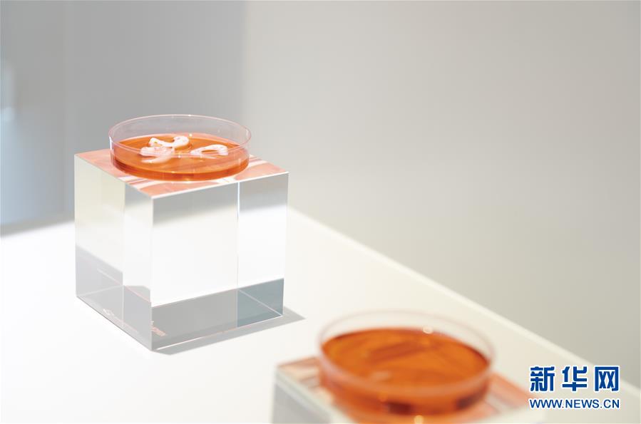 （兩會(huì)前夕看落實(shí)&middot;圖文互動(dòng)）（4）&ldquo;三個(gè)第一&rdquo;催奮進(jìn) 珠江潮起再出發(fā)&mdash;&mdash;廣東落實(shí)習(xí)近平總書記全國(guó)兩會(huì)重要講話精神紀(jì)實(shí)