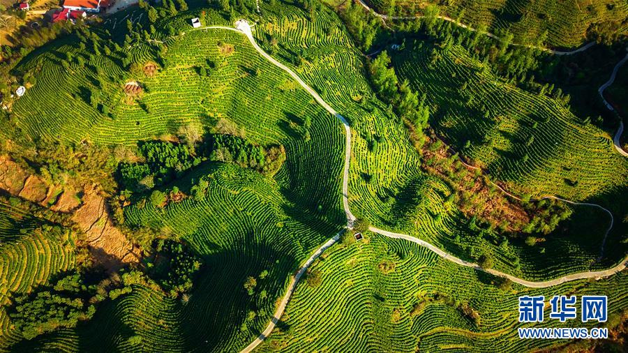 （兩會前夕看落實&middot;圖文互動）（5）奮力脫貧攻堅 生態(tài)追&ldquo;清&rdquo;逐&ldquo;綠&rdquo;&mdash;&mdash;江西落實習近平總書記全國兩會重要講話精神紀實