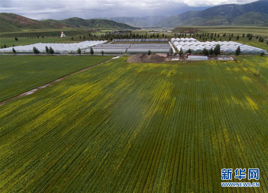 （兩會前夕看落實(shí)&middot;圖文互動）（6）&ldquo;飛針走線&rdquo;&ldquo;繡&rdquo;出小康畫卷&mdash;&mdash;四川落實(shí)習(xí)近平總書記全國兩會重要講話精神紀(jì)實(shí)