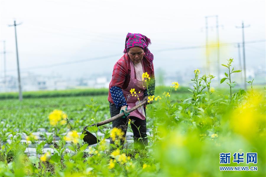 （社會(huì)）（1）貴州啟動(dòng)脫貧攻堅(jiān)&ldquo;春季攻勢&rdquo;