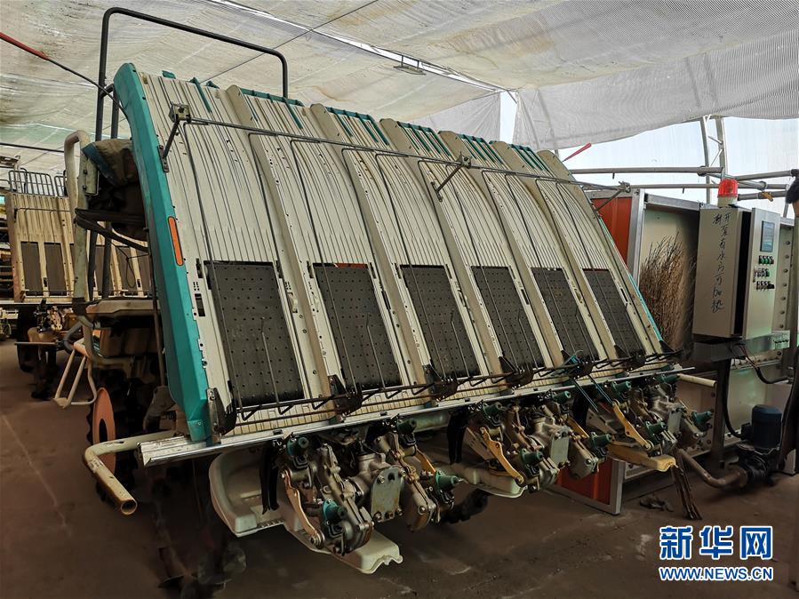 （在習(xí)近平新時(shí)代中國(guó)特色社會(huì)主義思想指引下&mdash;&mdash;新時(shí)代新作為新篇章&middot;圖文互動(dòng)）（2）黑土地上感受&ldquo;中國(guó)飯碗&rdquo;新變化