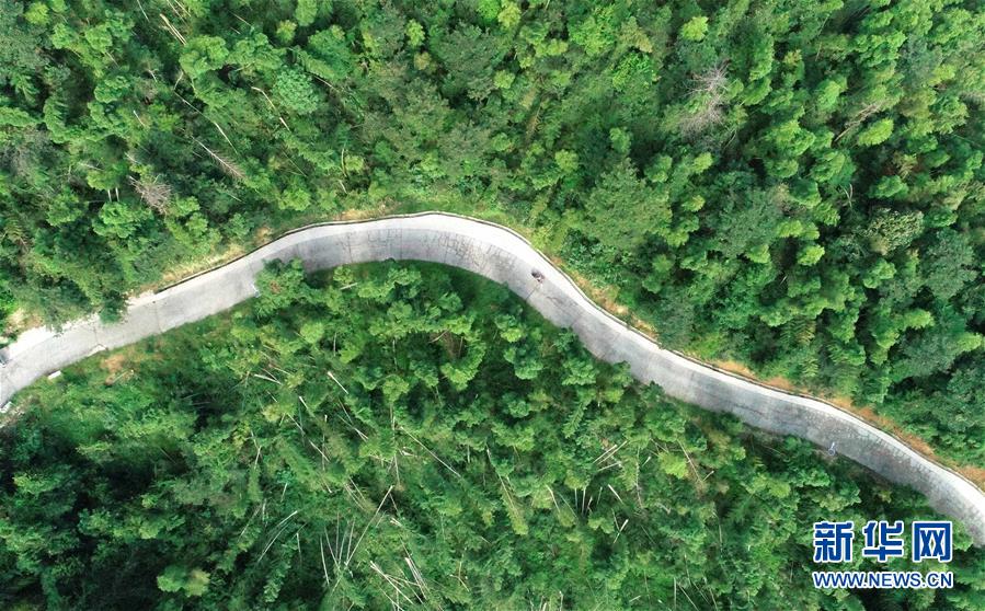 （中國(guó)網(wǎng)事&middot;感動(dòng)2019&middot;圖文互動(dòng)）（7）鄉(xiāng)村教師高自仁：60多根拐杖，撐起42年教學(xué)路